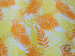 tropical yellow